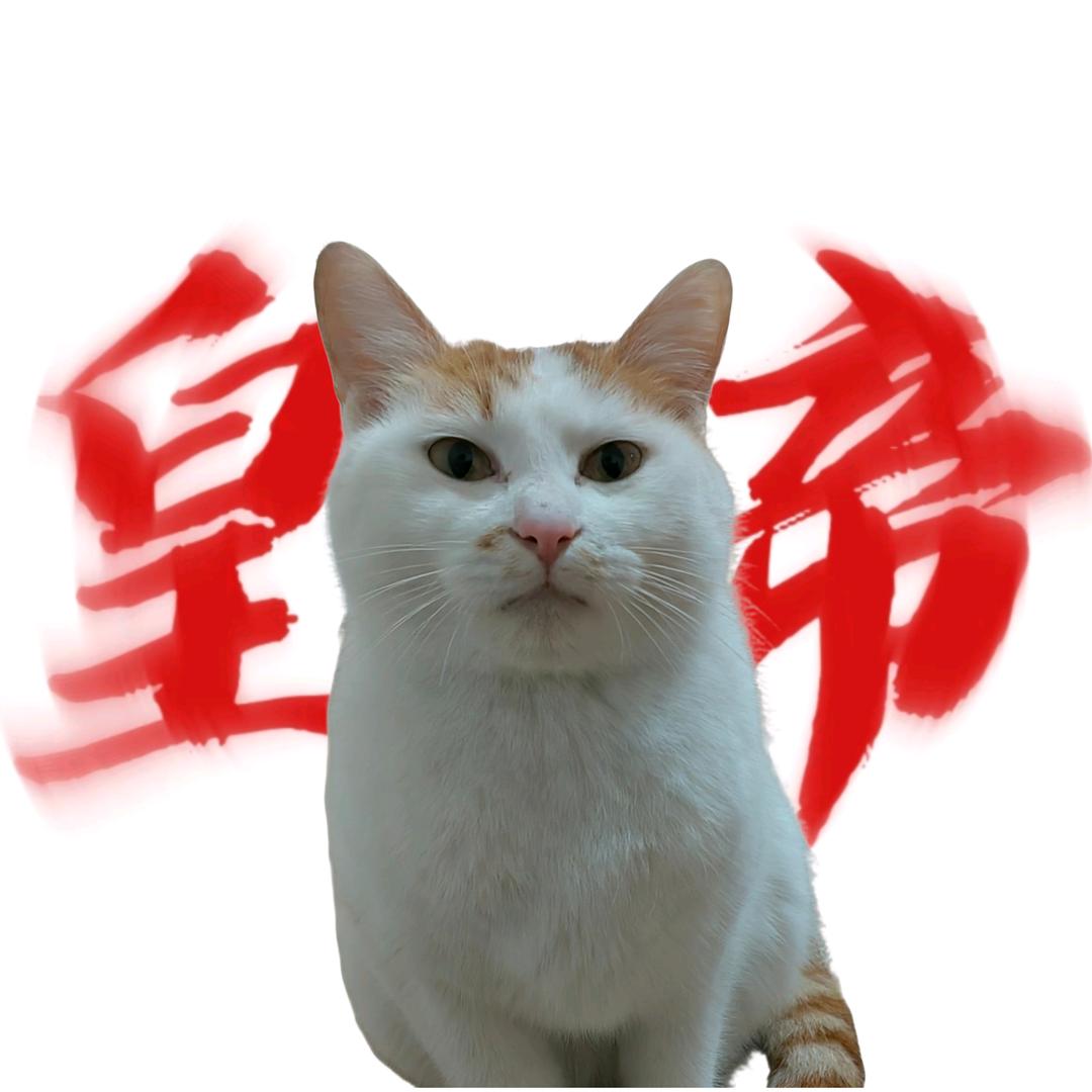 善财不是散财