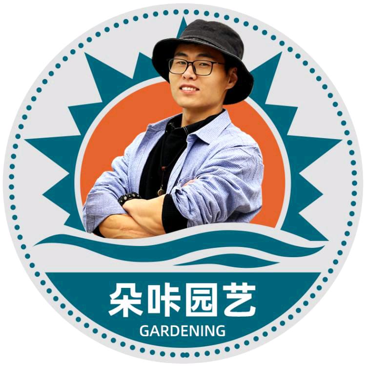 朵咔园艺绿植旗舰店