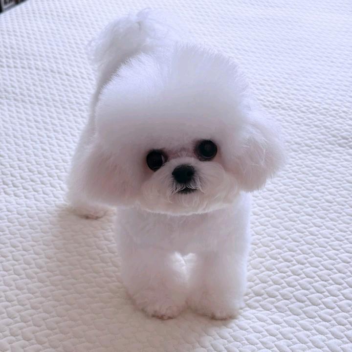 ☞᭄往事💗归零=͟͟͞͞꒰๑•௰