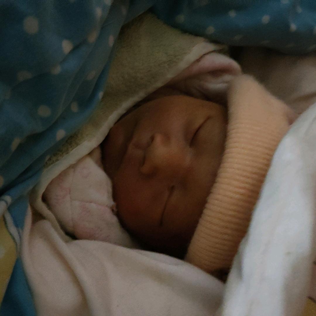 人才市场营销吴经理