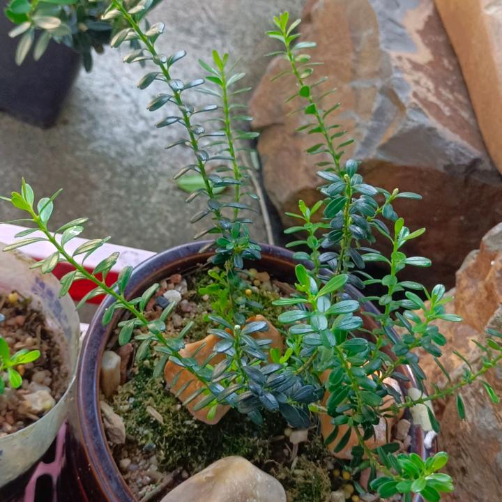 爱惜时间