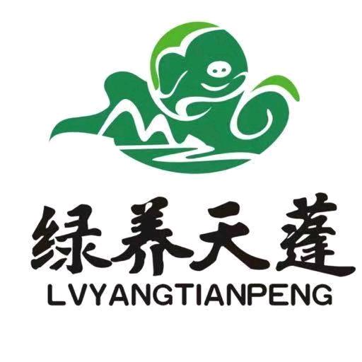 巴人记忆