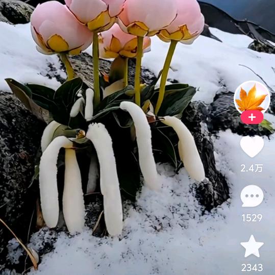 一切随缘往事随风