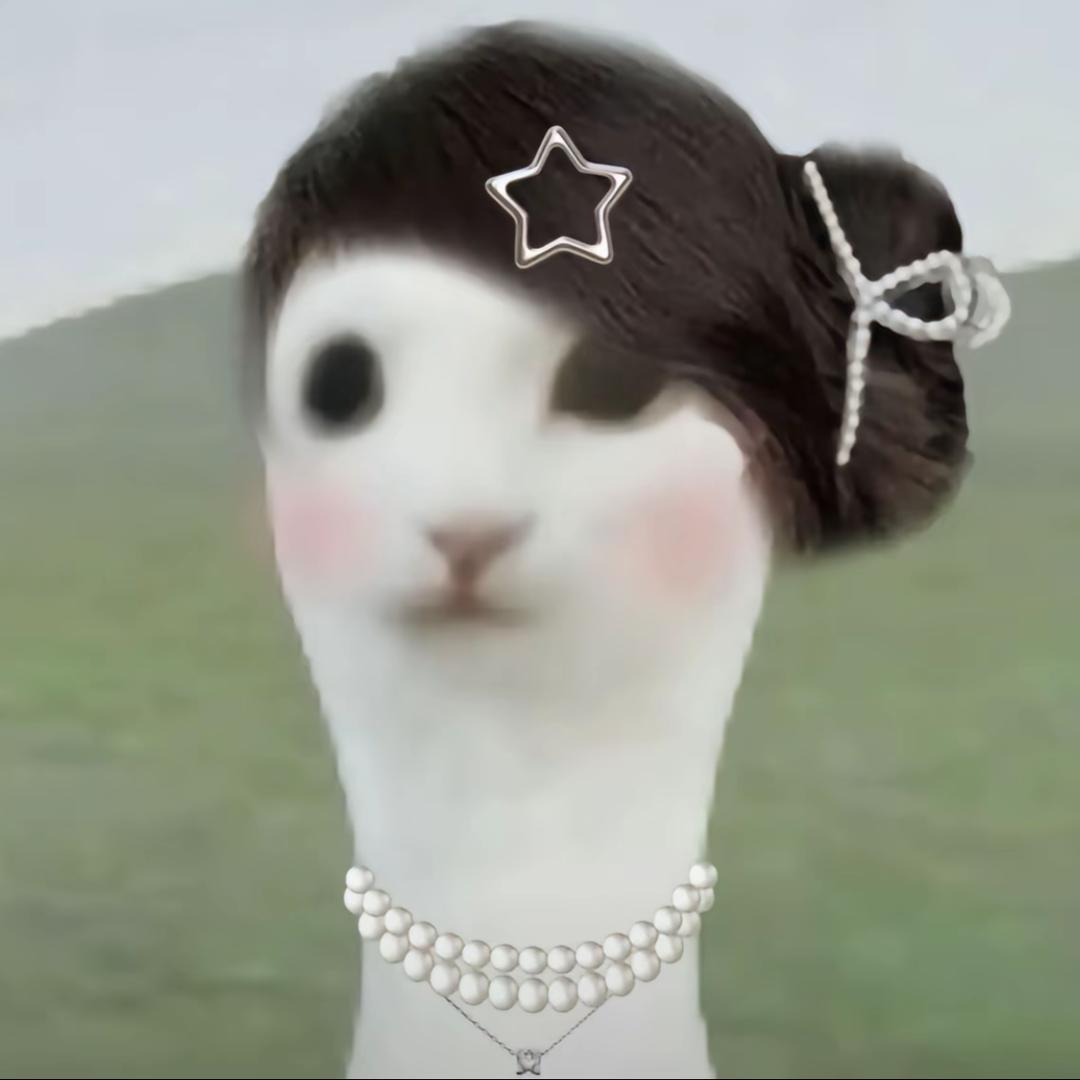 ⁺✞ʚ 小组作业重度依赖ɞ✟₊