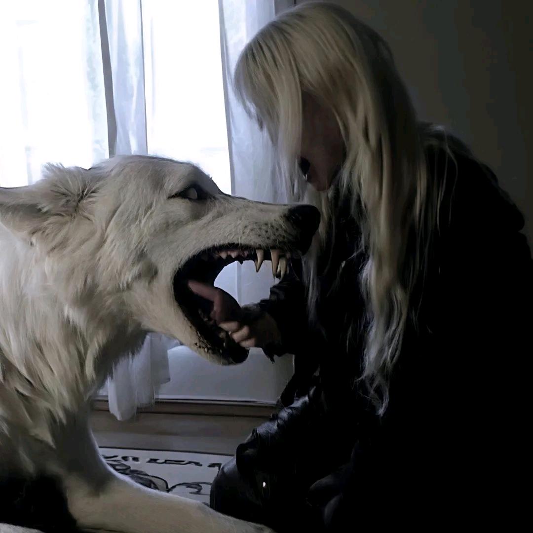 我的屎是榴莲味的