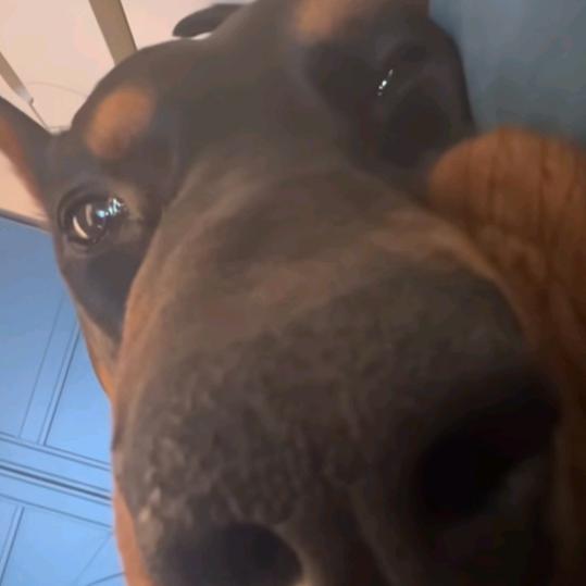 GTM.roug