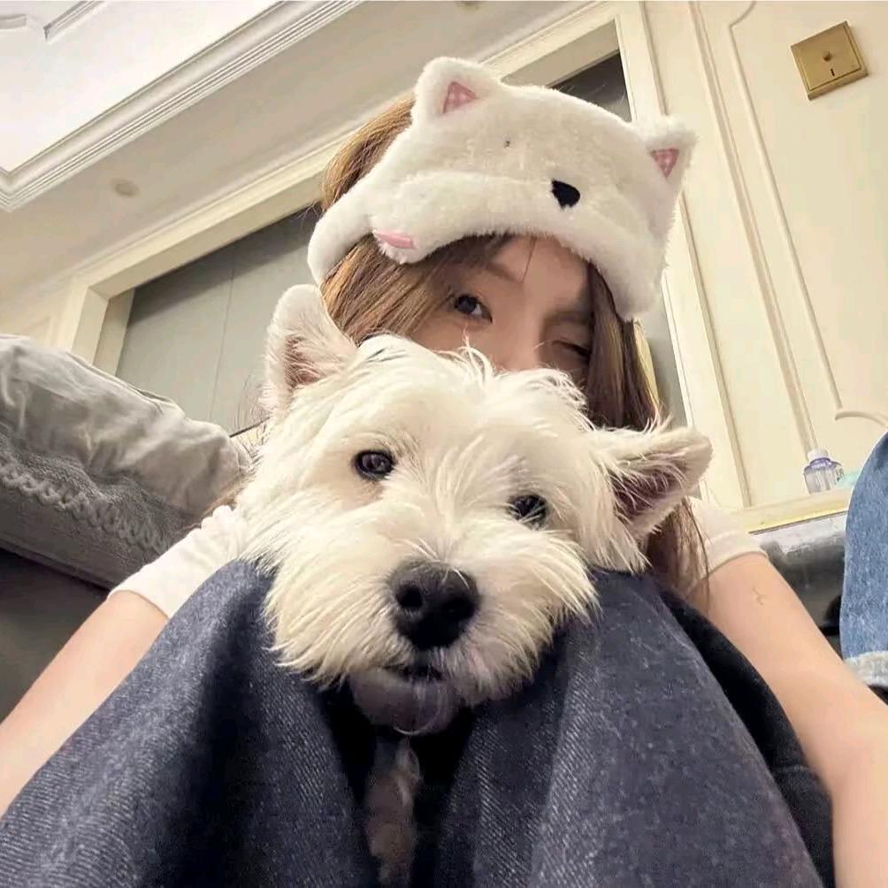 ʚ🍔呆熊吐泡泡ɞ