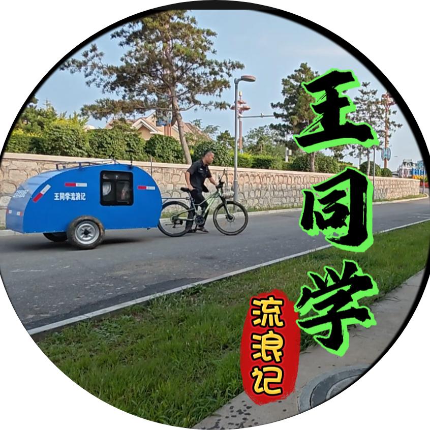 王同学流浪记