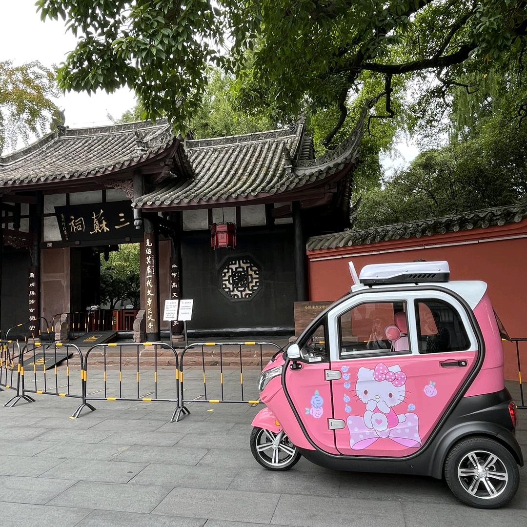 眉山东威新能源（原凯一路观光车）