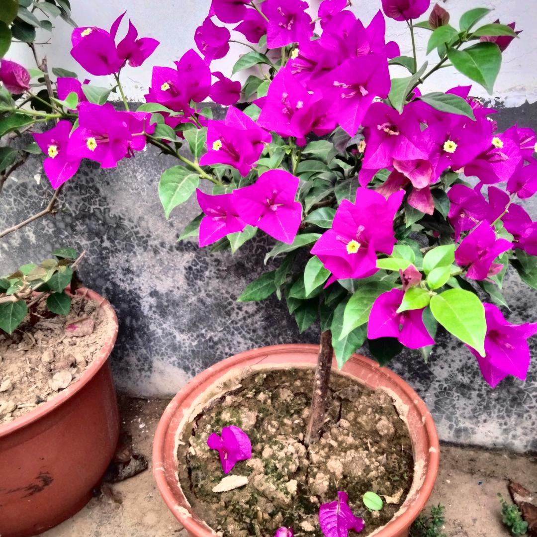 🌈🌈幸运🍀🍀