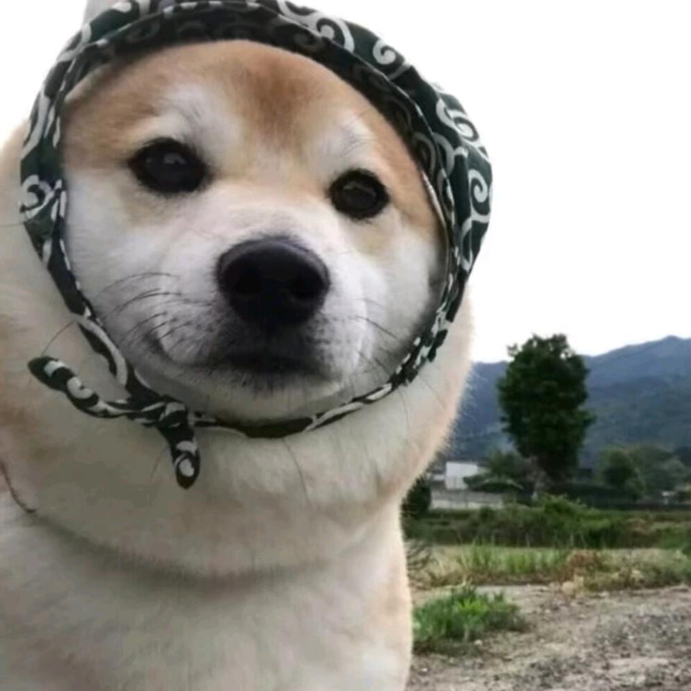 猛牛代言人