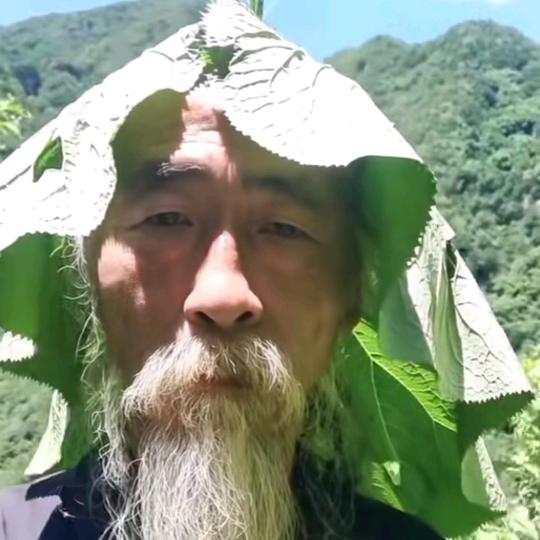 咕呱张（野生摄影版）