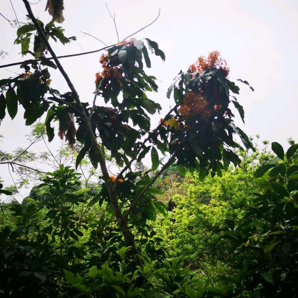 顺其自然