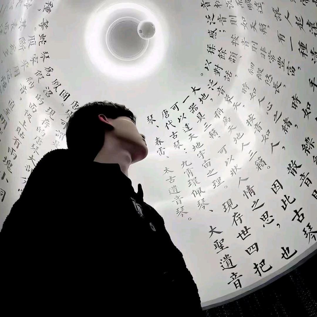 斑马还没睡