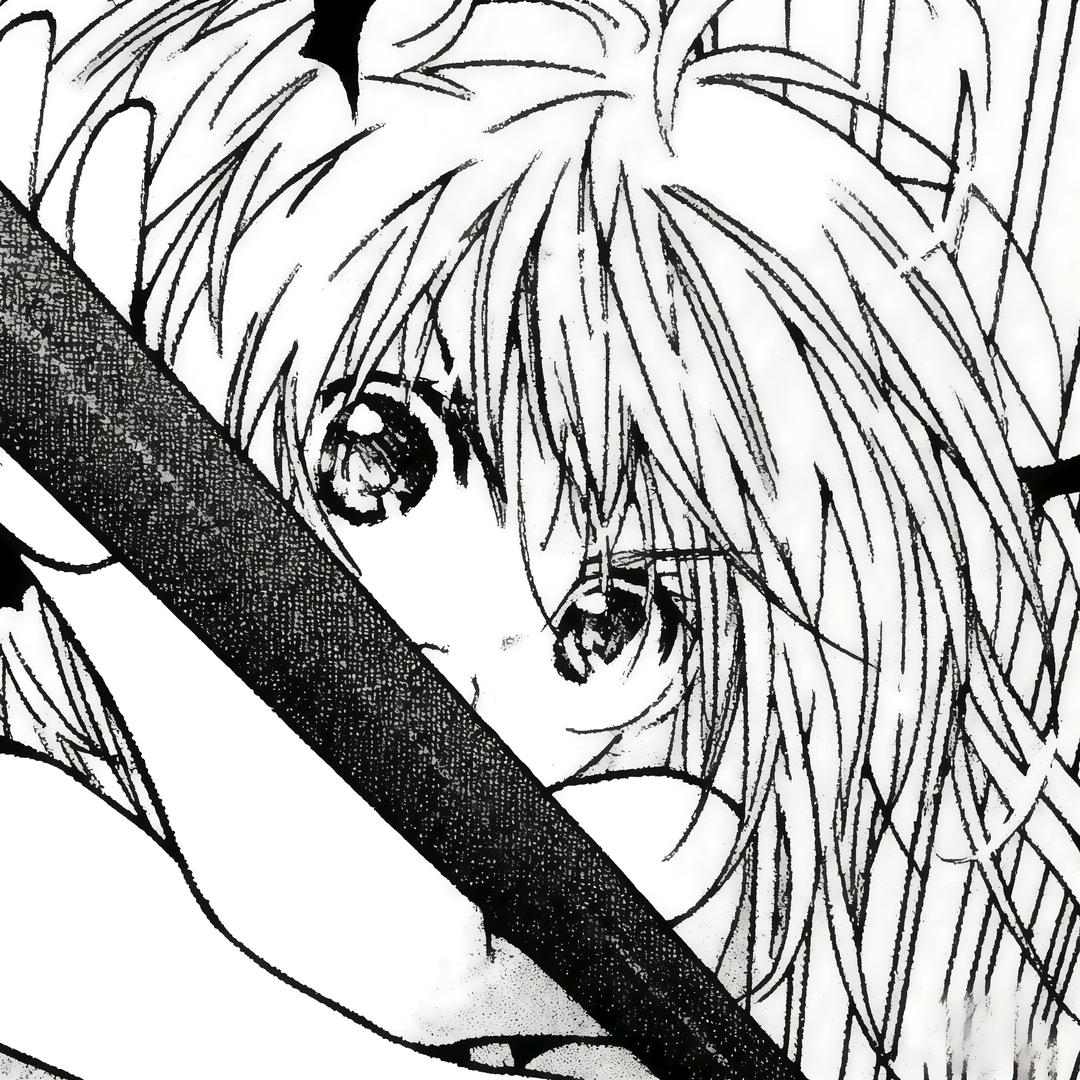 柚子炒饭🐈‍⬛