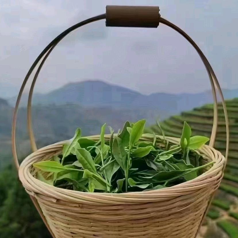 一杯清茶