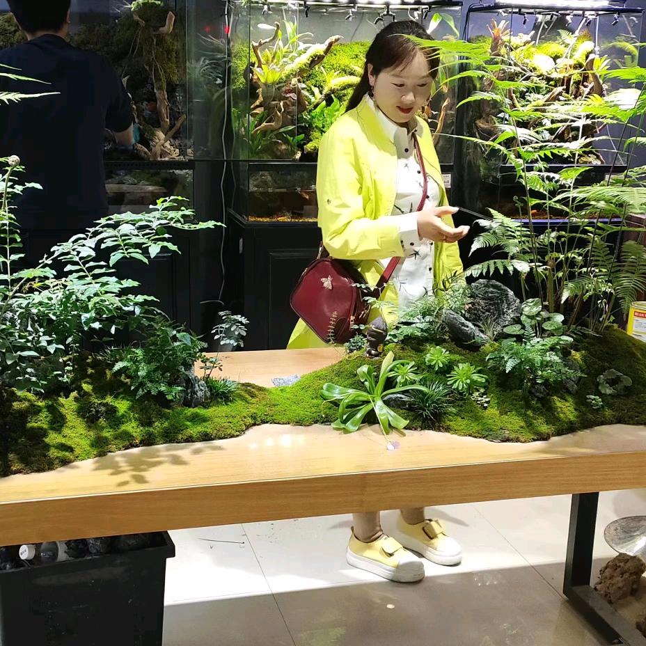 怡心园艺（陈红）