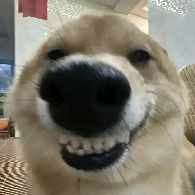 😳