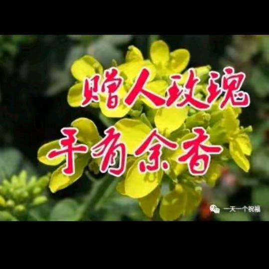 余占鳌