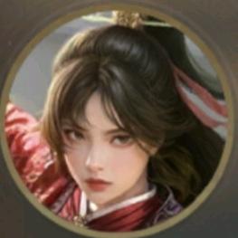 人机9527