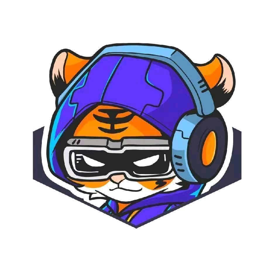 虎赢电竞山大店