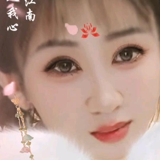 雪宝