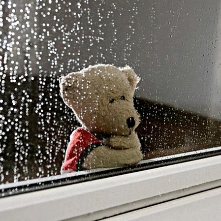 ⁰Ꙫ⁰钱兔无量⁼