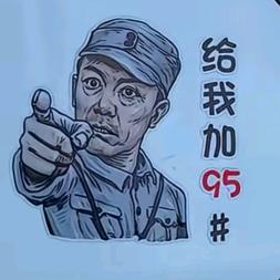 我的院里只有你