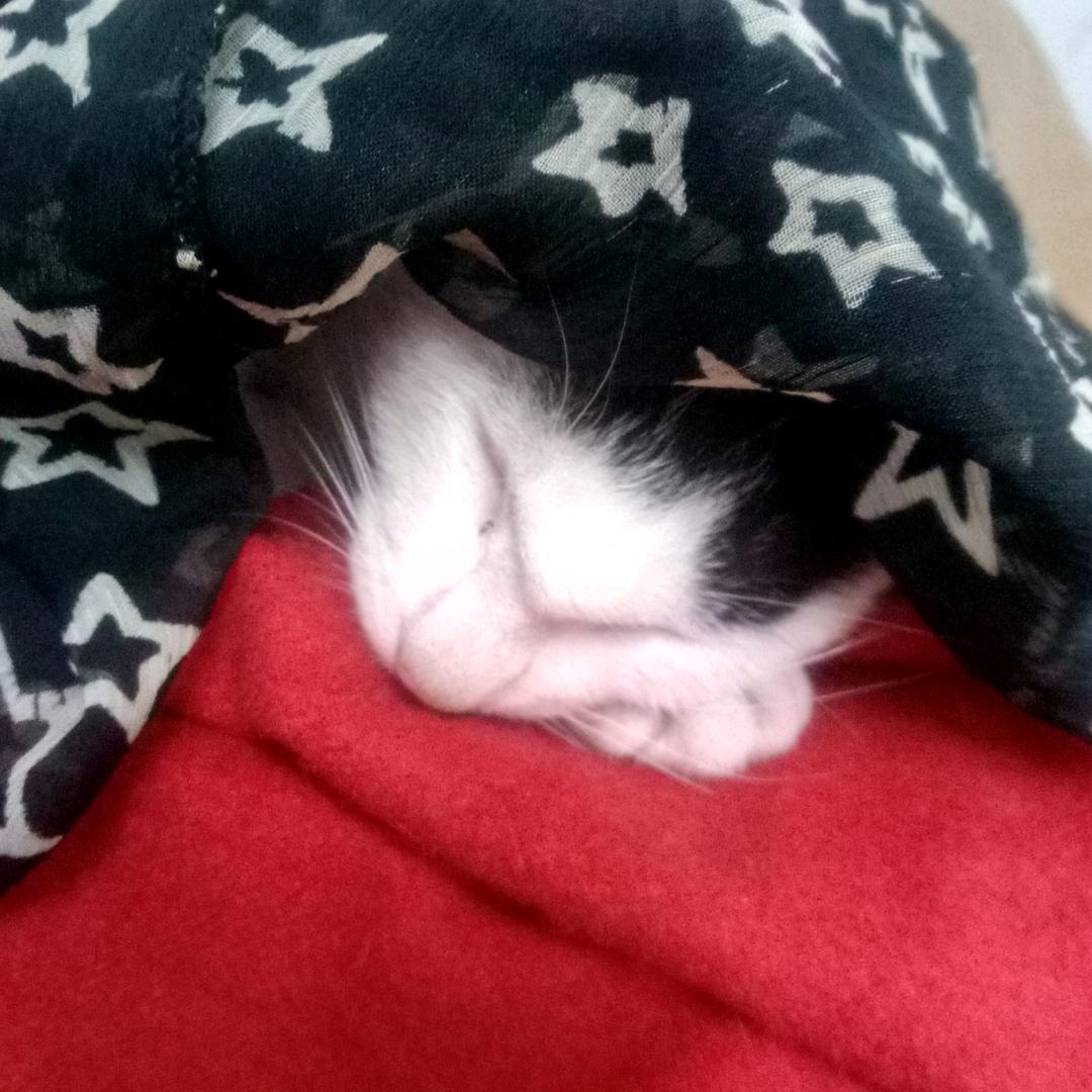 ∵冬天的雪
