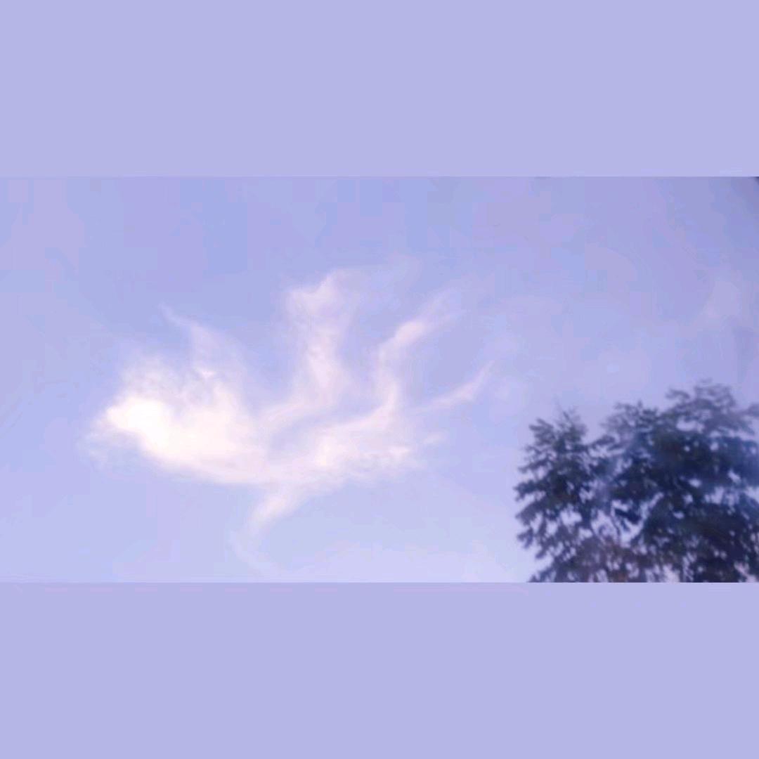 青蓝紫🌈
