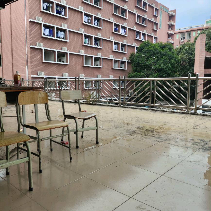 心安若好便是晴夭