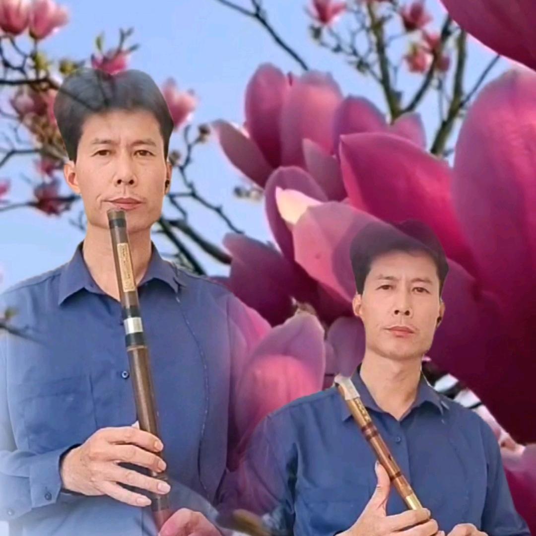 清音竹韵