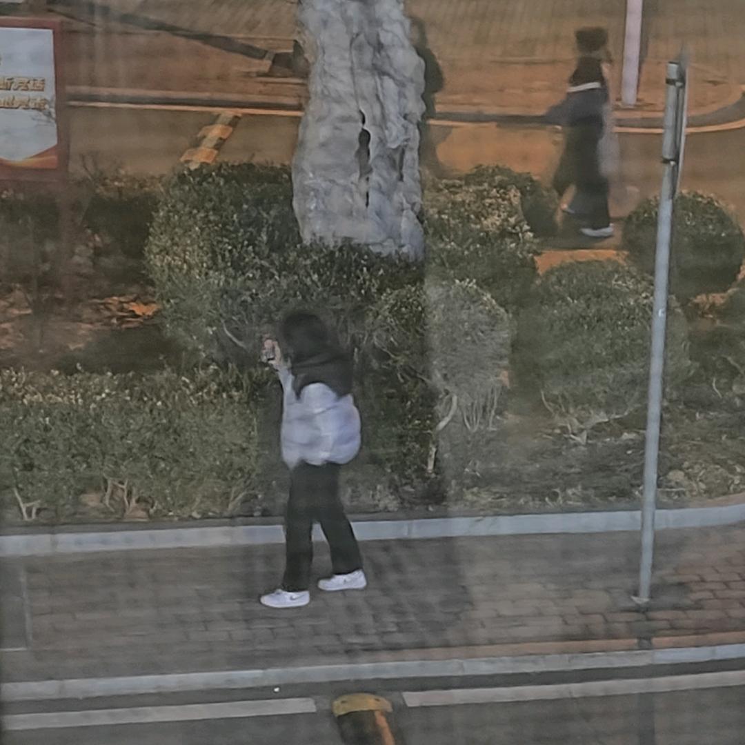源崽