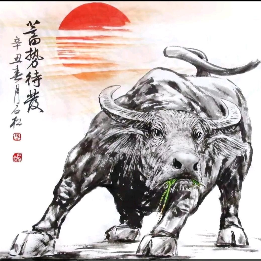 🐂大牛2🐂