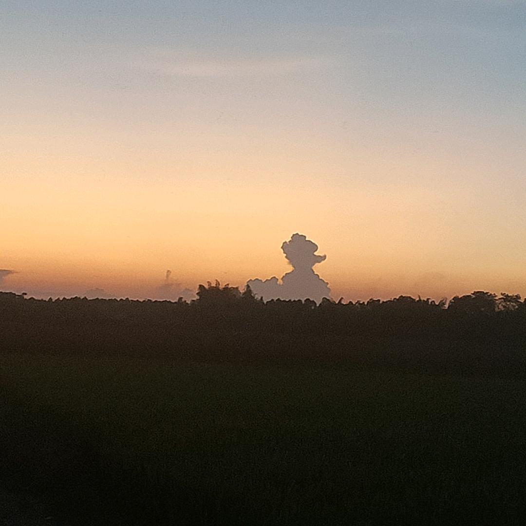 阳光果园，42753