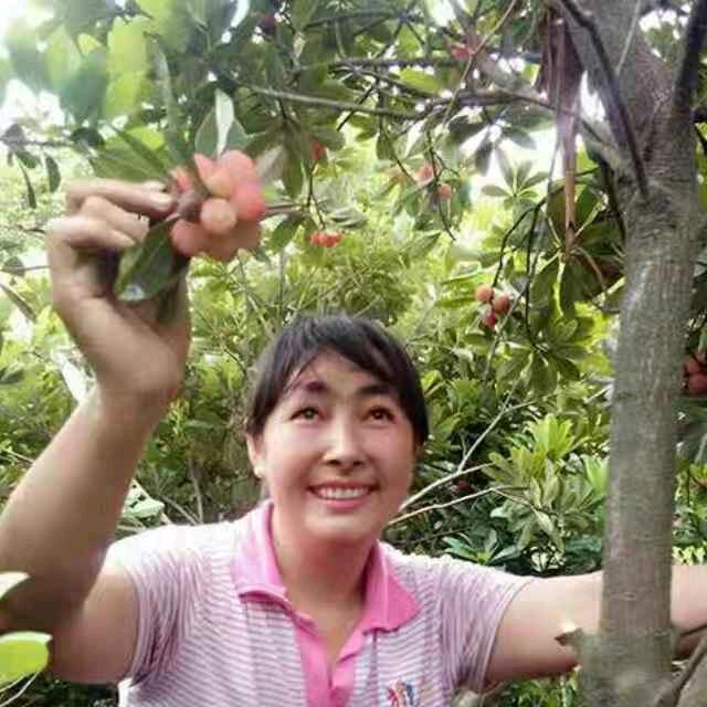 罗四姐，不定时开播