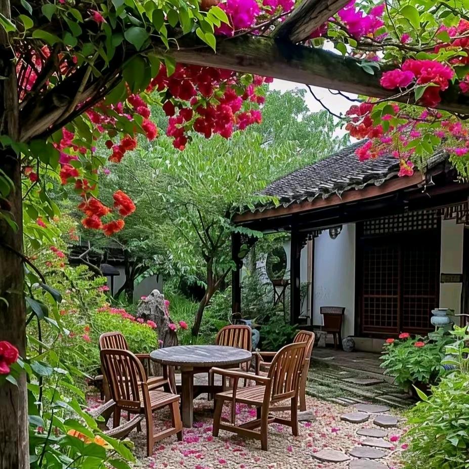 陈饼饼
