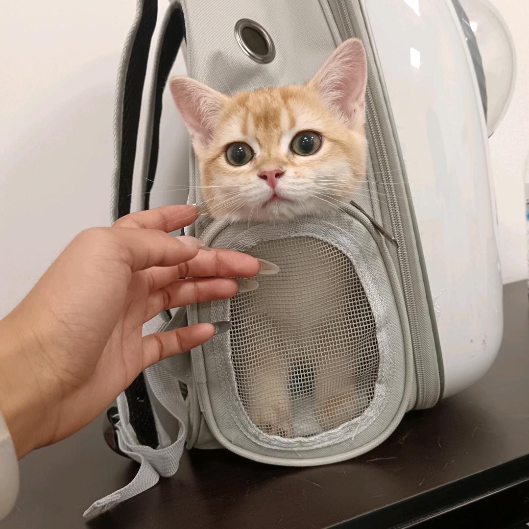 悦力游泳健身豆豆