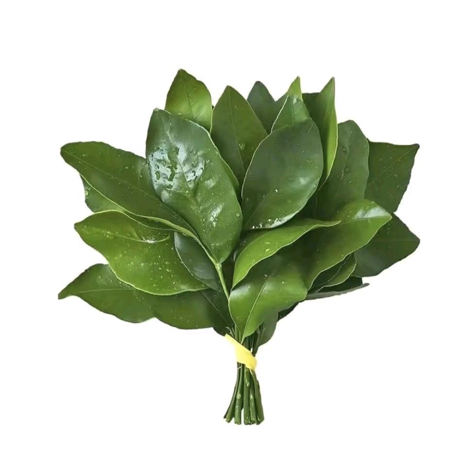 沐诚