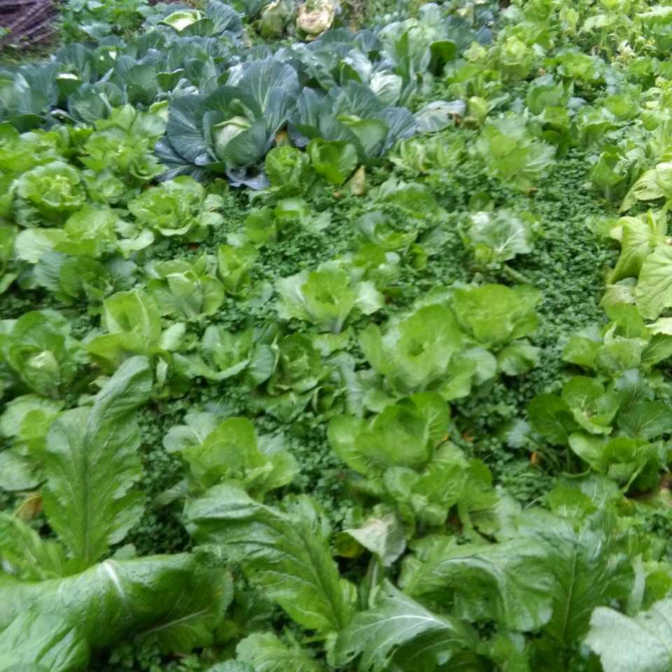 点❤发发财