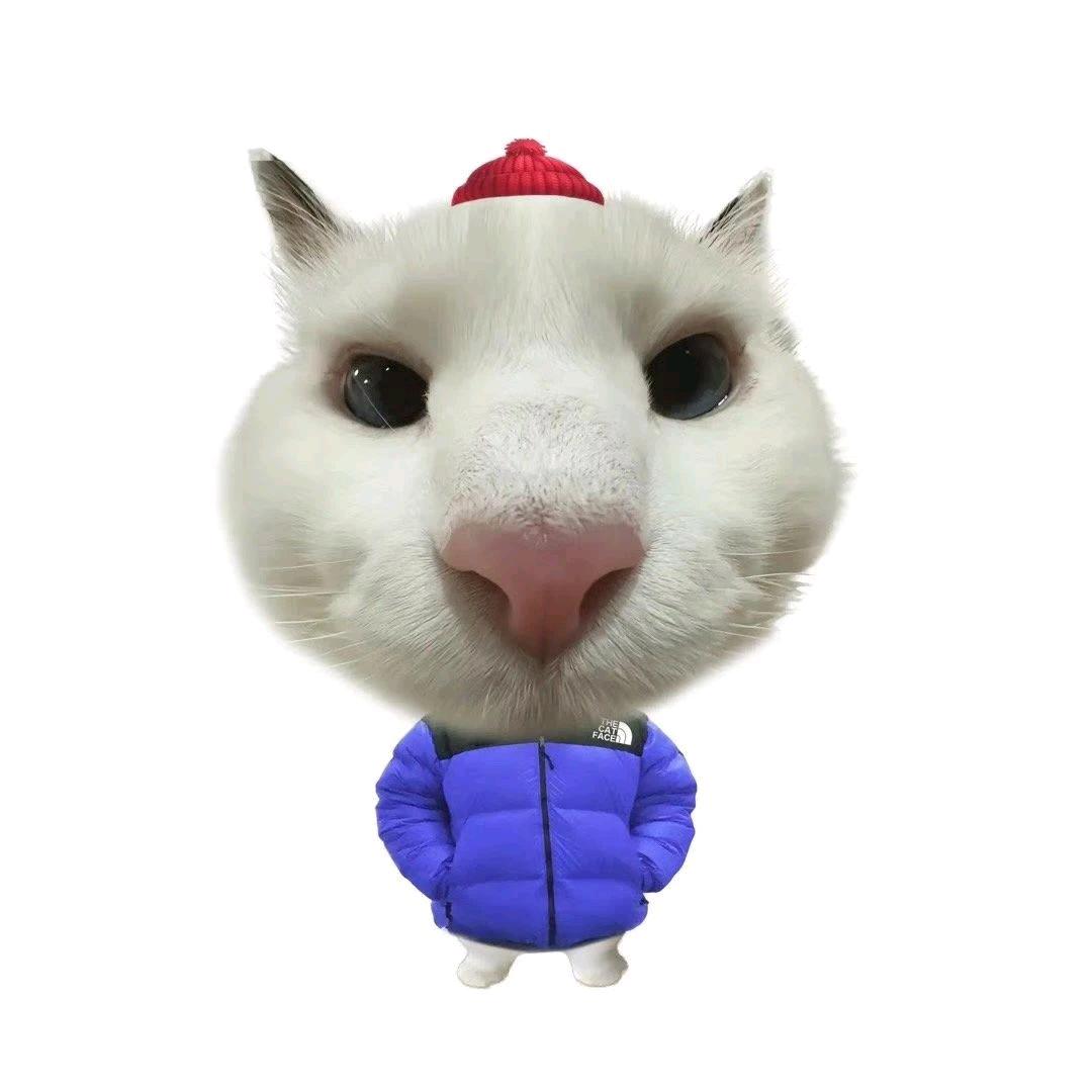 糕手