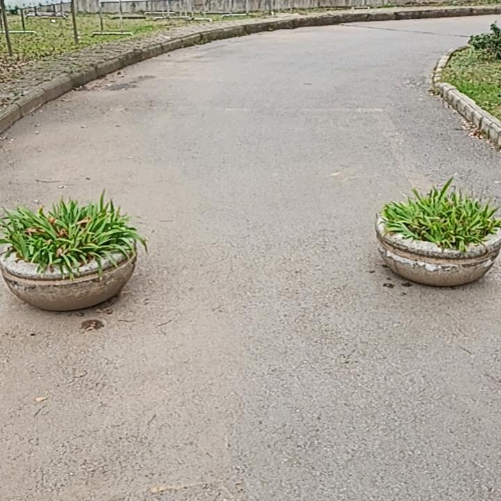 日出东方