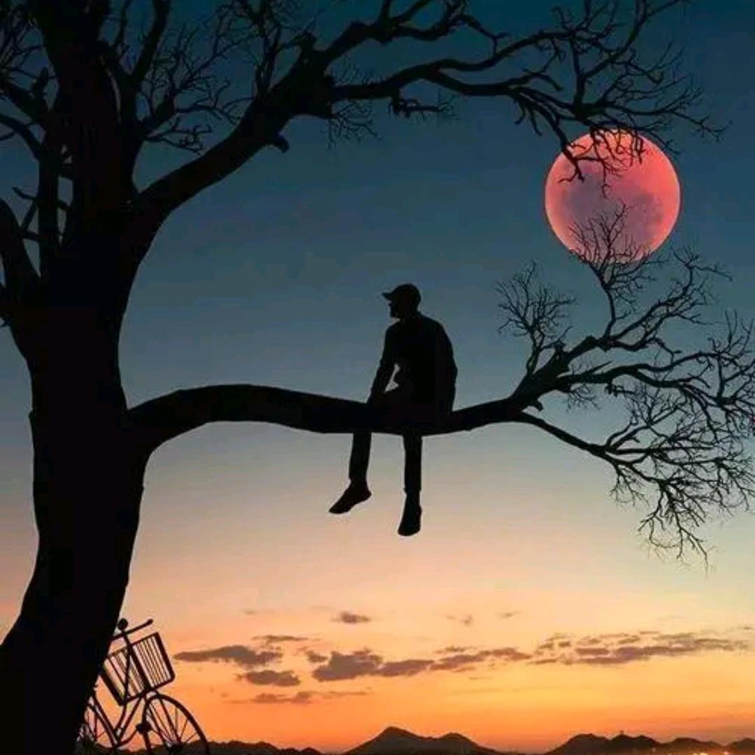 洛伍德