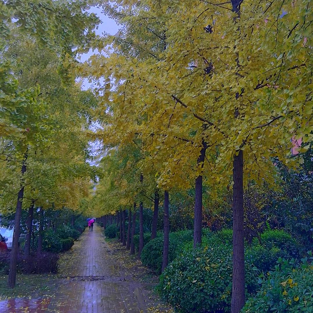 我就是我。。，。