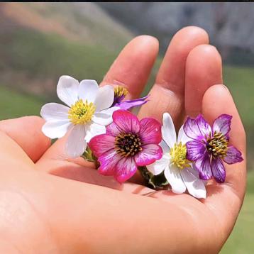 我喜欢你心的模样