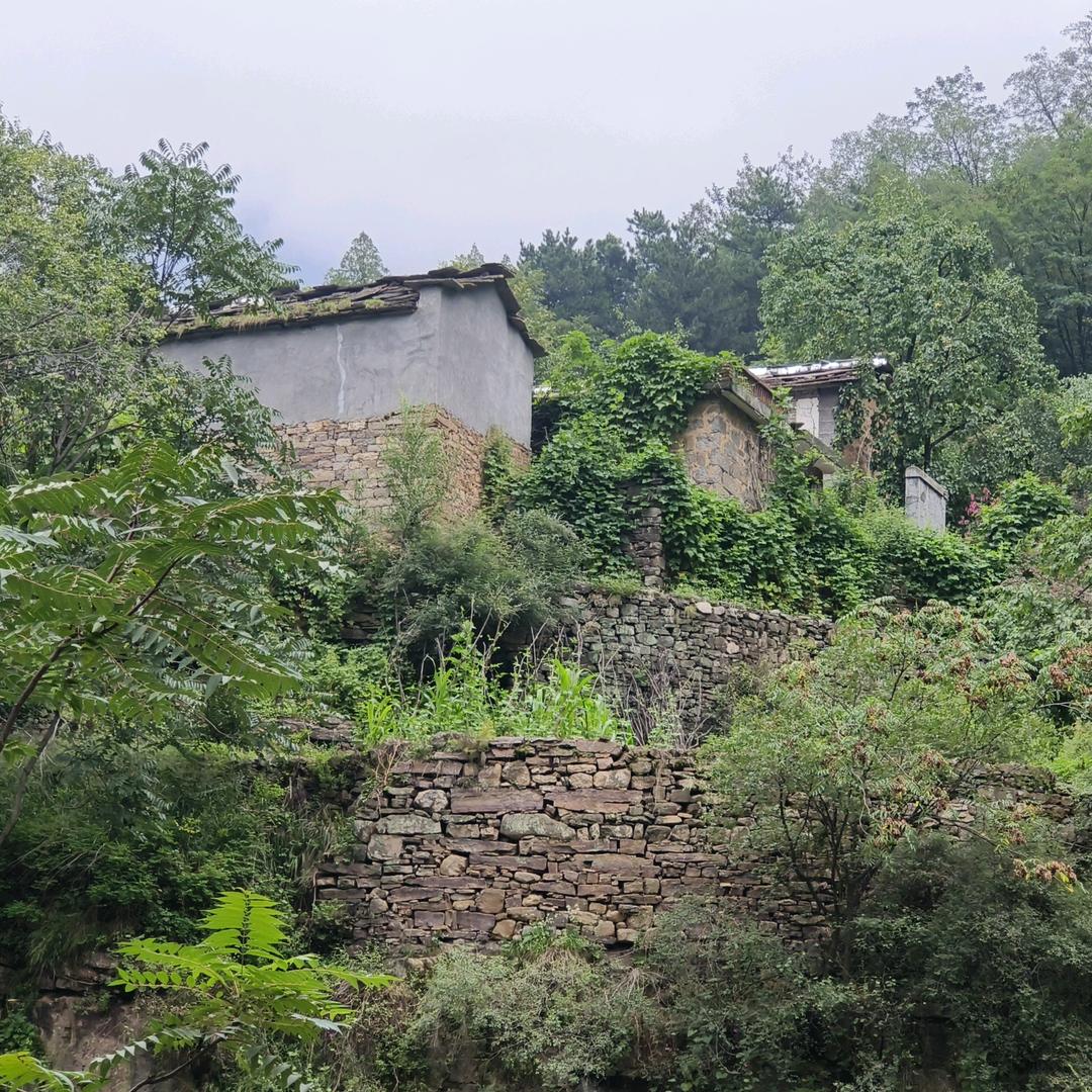 阿尔娅