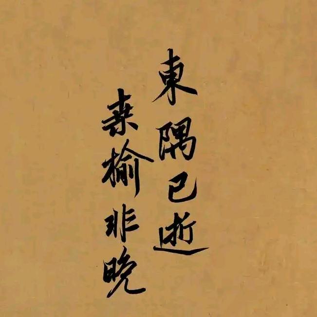 持🔫走天涯