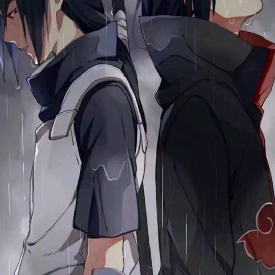 白蝶。（大号下午4：30）