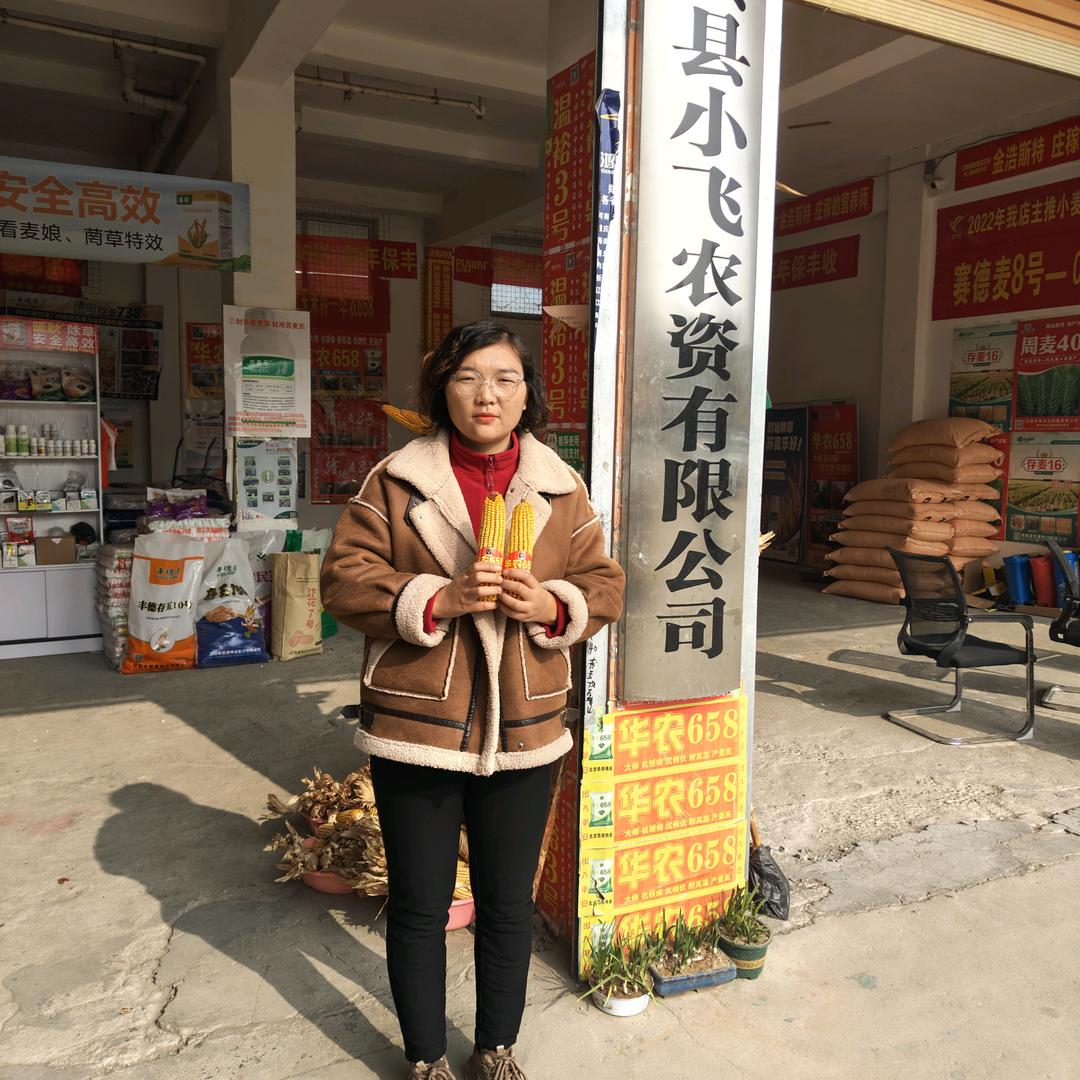 平舆县小飞农资有限公司