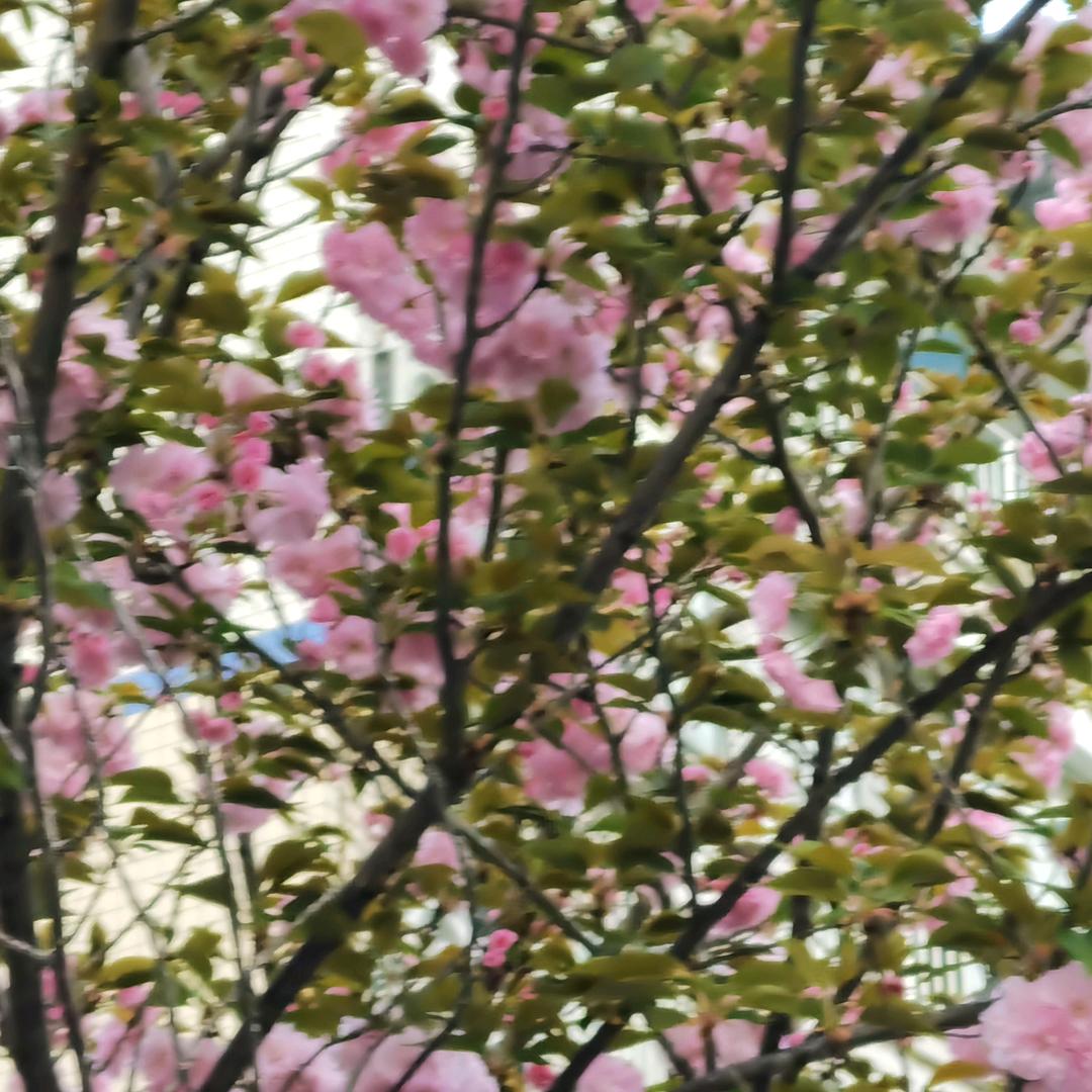 用户240729